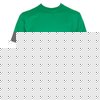 Southpole Souhpole USA Basics T-Shirt (Freshmint)