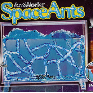 Space Ants