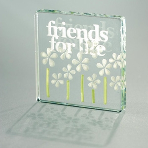 Spaceform Friends for Life Glass Paperweight