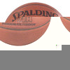SPALDING NBA Platinum Indoor/Outdoor Basketball