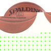 SPALDING NBA Platinum Indoor/Outdoor Basketball