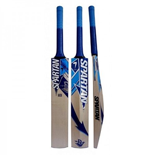 MSD Warrior Cricket Bat - Medium (2.9 - 2.11)