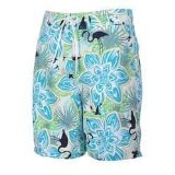 Speedo Hitchcock 18 inch Short