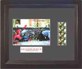 2 8 x 10 Standard Cell