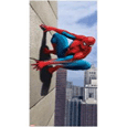 Spider-Man Door Poster