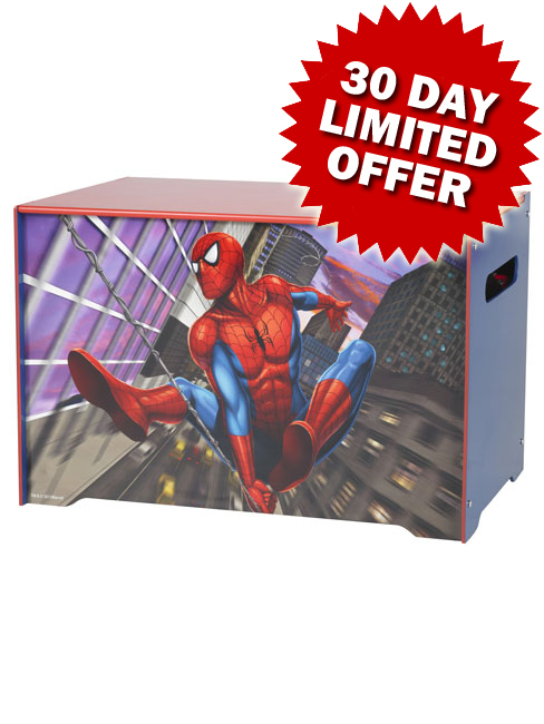 Spiderman Toy Box