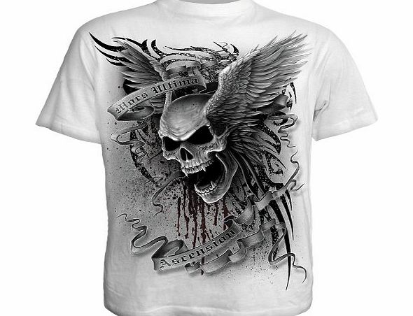 Spiral - Men - ASCENSION - T-Shirt White - XX-Large