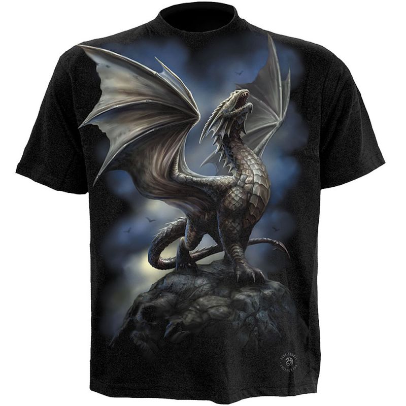 Spiral Anne Stokes Noble Dragon T-shirt Adult