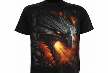 Spiral Rock Guardian T-Shirt Large
