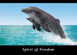 Spirit Of Freedom Keyring