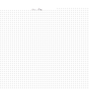 ZS31 Road Carbon Shoe