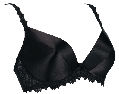SPLENDOUR deep plunge push-up bra
