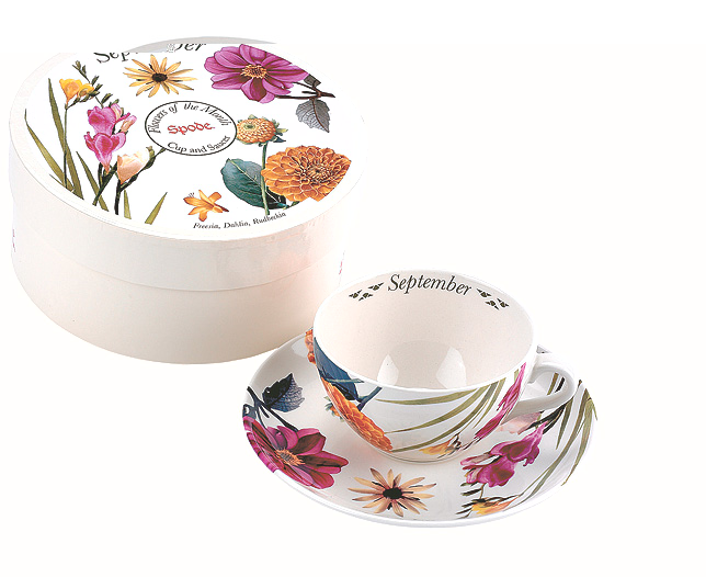 spode March Cup and Saucer