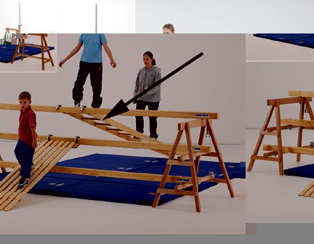 Sport-Thieme  Ladder
