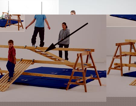 Sport-Thieme  Ladder