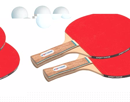 Sport-Thieme  Paris TT Bat Set