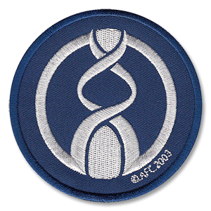 2008 AFC C/L Champions Patch Gamba Osaka