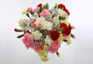 Spray Carnations Bouquet