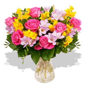 Spring Bloom - flowers