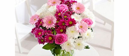 Spring Dream Supersize