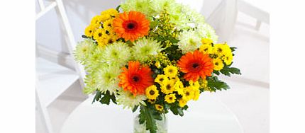 Spring Germini - Flowers by post