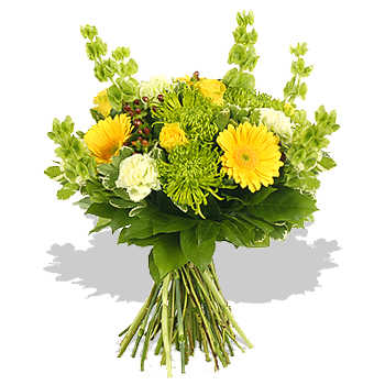 Spring Harmony - flowers