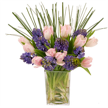 Spring Morning - flowers