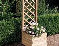 Planter  Lattice