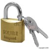 Leopard 28.6mm Solid Brass Padlock With 2