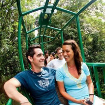 Lucia Rainforest Skyride - Adult