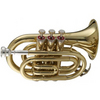 Stagg 77-MT - Pocket Trumpet Clear Lacquered