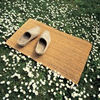 Standard 39 x 59cm Coir Mat