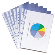 Staples Punched Pockets