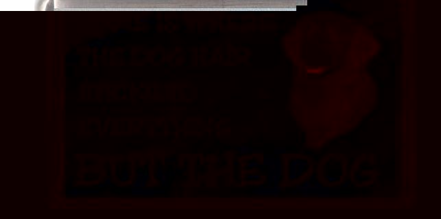 Starprint Golden Retriever No 3 Fridge Magnet ``HOME IS WHERE THE DOG HAIR STICKS TO EVERYTHING BUT THE DOG``