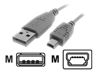 startech.com data cable - USB - 3.1 m
