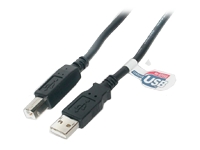 startech.com High Speed Certified USB 2.0 USB cable - 3 m