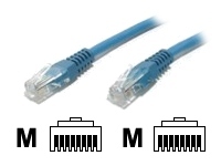 startech.com patch cable - 15.2 m