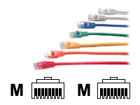 startech.com patch cable - 3 m