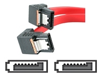 StarTech.com Serial ATA / SAS cable - 30 cm