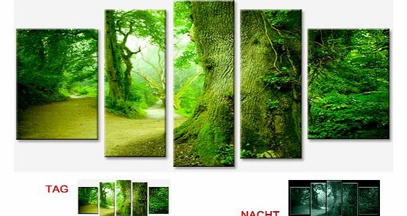 Trees in the Forest Canvas Wall Art Set of 5 Total 90x170 cm Startonight