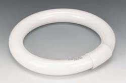 Circular Lamp Tube Fluorescent 8 Inch 4