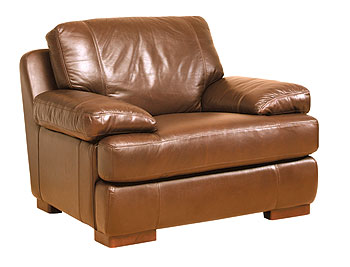 Steinhoff UK Furniture Ltd Boston Leather Armchair
