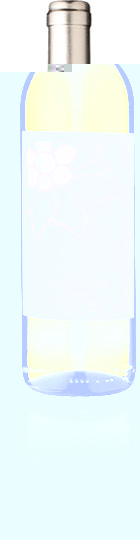 Alpina Pinot Grigio 2008 Alto Adige