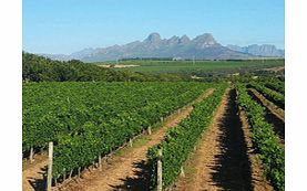 Stellenbosch Wine Tour from Cape Town - Child
