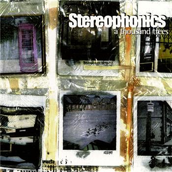 Stereophonics A Thousand Trees