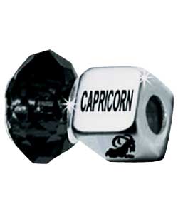 Sterling Silver Horoscope with Birthstone Charms - Capricorn