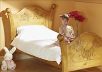 Steve Allen Fairy Bed