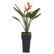 stewart Superior Artificial Plant in Tall Metal Pot H1200mm Bird of Paradise Ref 9900209