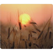 Stewart Superior Sunset Mouse Mat