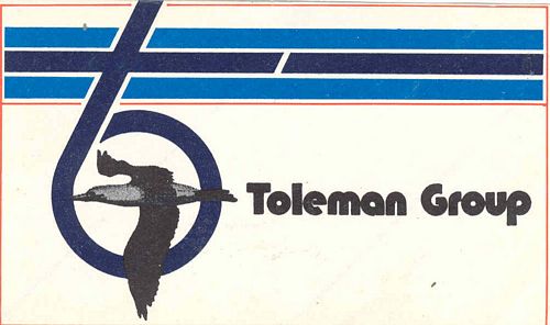 Toleman Group Logo Sticker (13cm x 7cm)